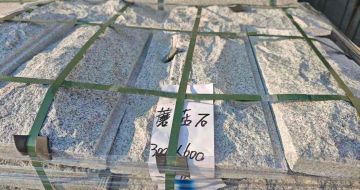 秦皇岛芝麻白蘑菇石，自然面